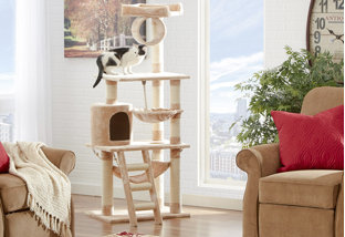 Buy Cat Tree Clearance!