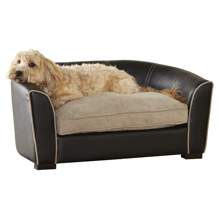 Unique Dog Beds That Look Like Couch Webnuggetz Com