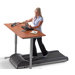 LifeSpan Fitness Standing Desk Treadmill