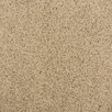 Milliken Legato Embrace 19.7" x 19.7" Carpet Tile in ...