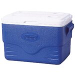 C3 Custom Cooler Creations 30 Qt. NFL Rover Cooler & Reviews | Wayfair