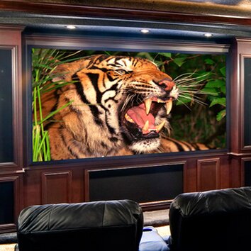 Clarion Projection Screen