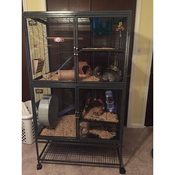 Midwest Homes For Pets Critter Nation Small Animal Double Unit Cage ...