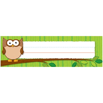 Owls Desk Plates Name Tag