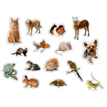 Pets Photographic Sticker