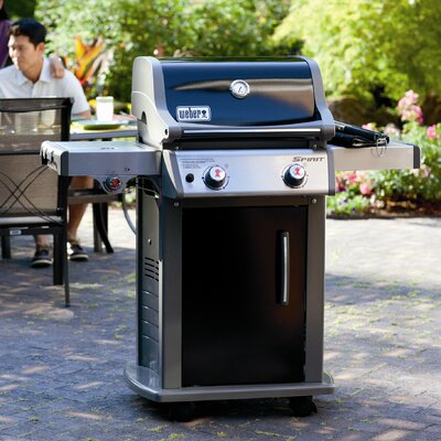 Weber Spirit® E-220™ LP Gas Grill & Reviews | Wayfair