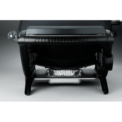 Weber Q® Series 2400 Electric Grill & Reviews | Wayfair