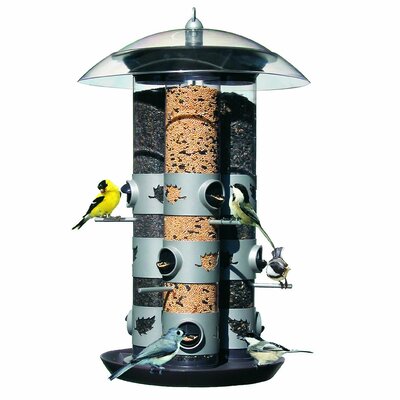 Birdscapes Triple Tube Bird Feeder & Reviews | Wayfair