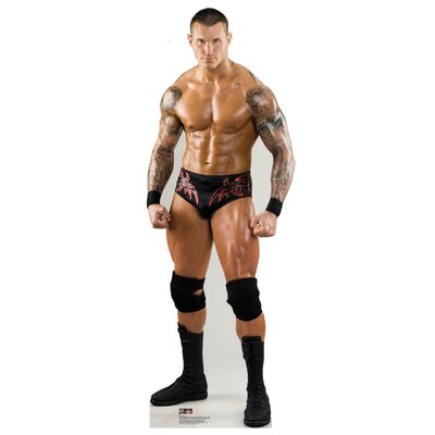 WWE Randy Orton Cardboard Stand-Up | Wayfair