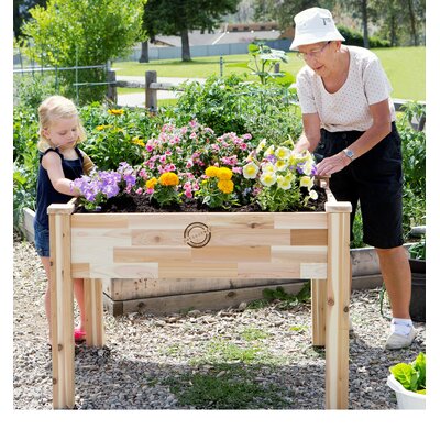 PatioCraft Novelty Raised Garden &amp; Reviews | Wayfair