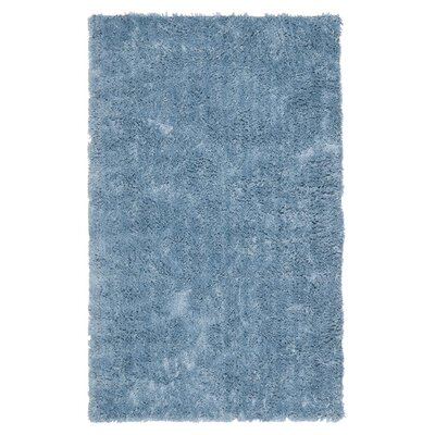 Light blue shag rug