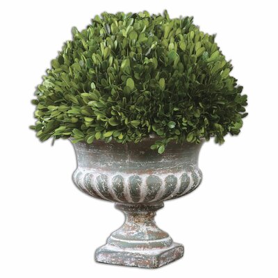 473 New boxwood topiary garden 134 Preserved Boxwood Garden Urn Topiary in Planter by Uttermost 