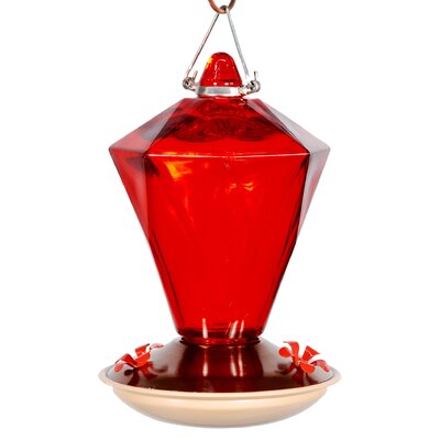 Woodlink Audubon Ruby Diamond Glass Hummingbird Feeder & Reviews | Wayfair