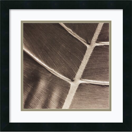 Particular by Jesse Canales Framed Photographic Print by Amanti Art