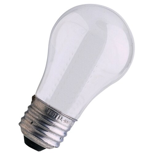 FeitElectric 40W 120 Volt Incandescent Light Bulb (Pack of 2