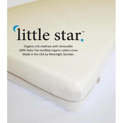 Moonlight Slumber Organic Cotton 6" Mattress Pad & Reviews Wayfair