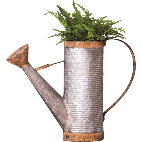 Vintage Watering Can Wall Décor Wayfair