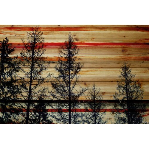 ParvezTaj Landscape & Nature Pine Forest Trees Painting Print