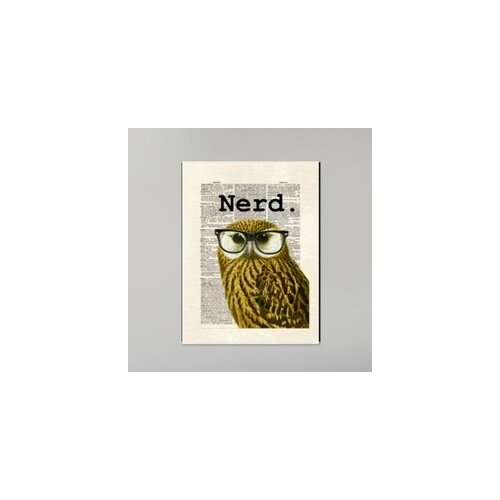 Owl Nerd Graphic Art on Wrapped Canvas by Americanflat