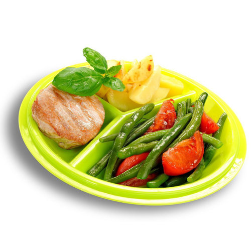 Go Healthy Travel Plate with SnapTight Lid Wayfair