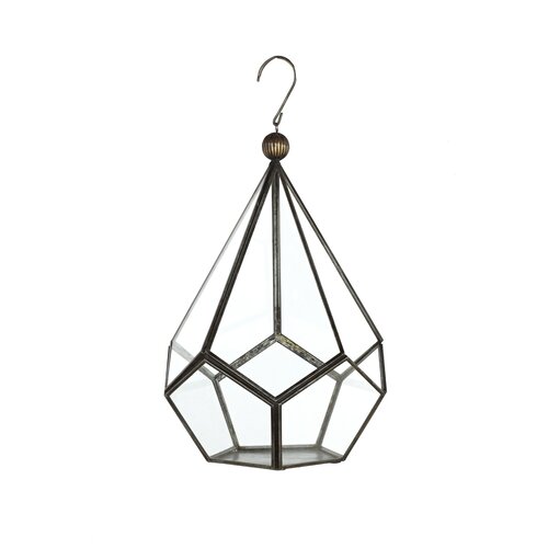 Sage & Co. Voyager Novelty Terrarium