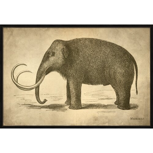 Mammoth Framed Graphic Art by Melissa Van Hise