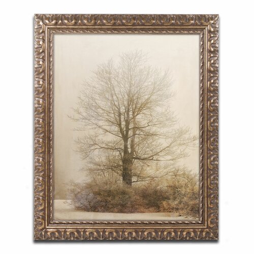 Tan Tones in the Fog by Lois Bryan Framed Photographic Print by