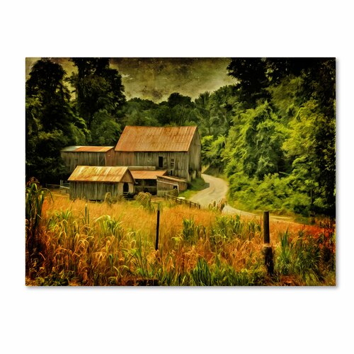 Trademark Fine Art Country Road In Summer by Lois Bryan Photographic