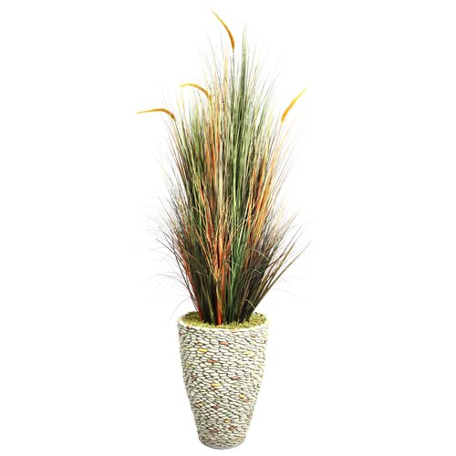 Laura Ashley Home Tall Onion Grass in Round Tapered Fiberstone Pot