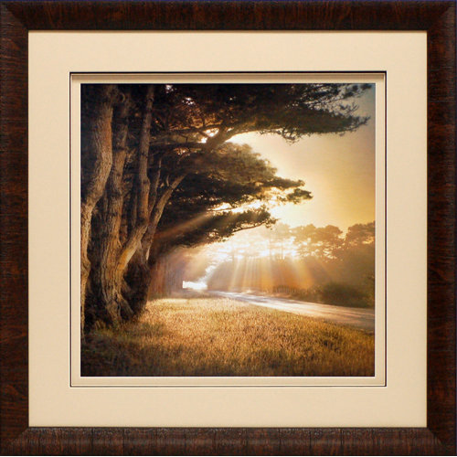 North American Art 'No Place to Fall' by William Vanscoy Framed