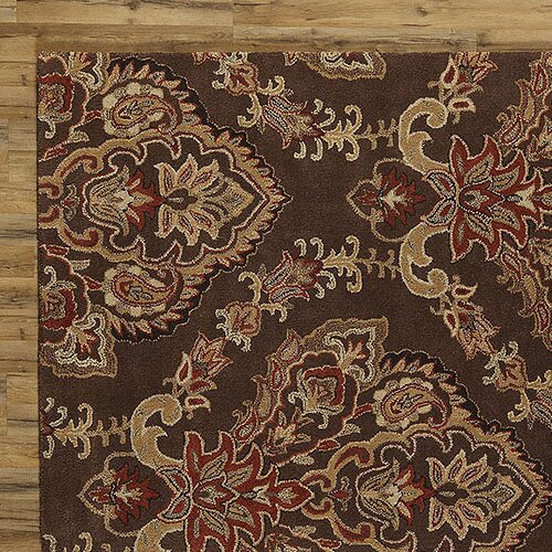 Birch Lane Leona Chocolate Rug