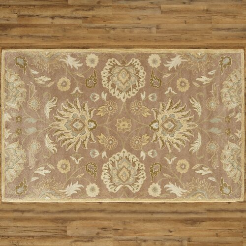 Birch Lane Phoebe Capuccino Rug