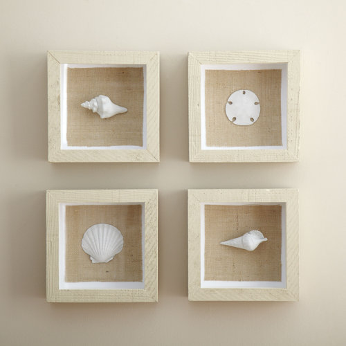Birch Lane Seashell Shadow Boxes & Reviews Wayfair
