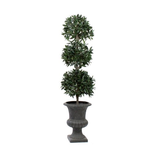 Bayleaf 3 Ball Round Tapered Topiary in Urn by Dalmarko Designs