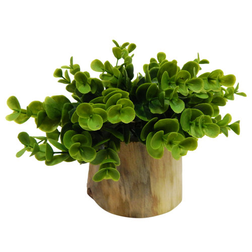Silk Flower Depot Naturalist Eucalyptus Bonsai Desk Top