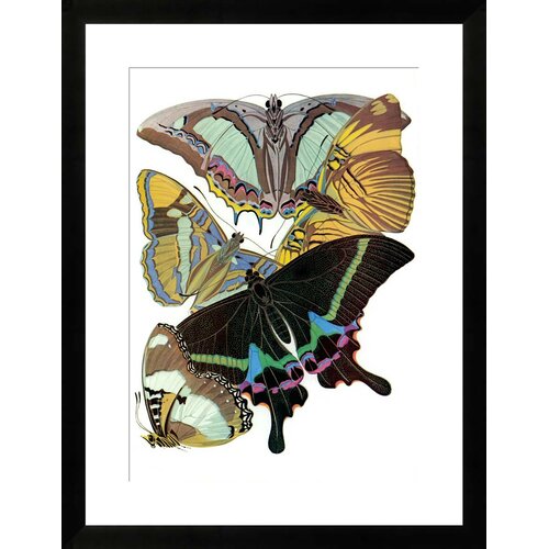 Art Deco by Butterflies Framed Paper Print Art | Wayfair