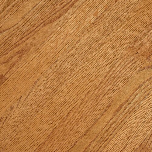 Bristol 2 1/4 Solid Red Oak Hardwood Flooring in Butterscotch by