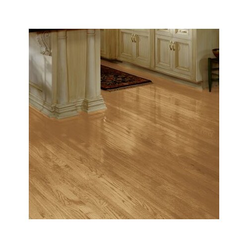 Bristol 2 1/4 Solid Red Oak Hardwood Flooring in Natural by Bruce