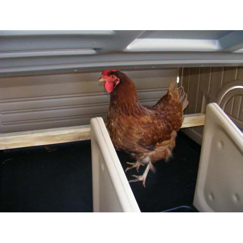 Formex Standard Chicken Coop & Reviews Wayfair