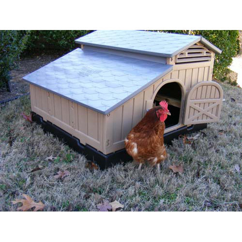Formex Standard Chicken Coop & Reviews Wayfair