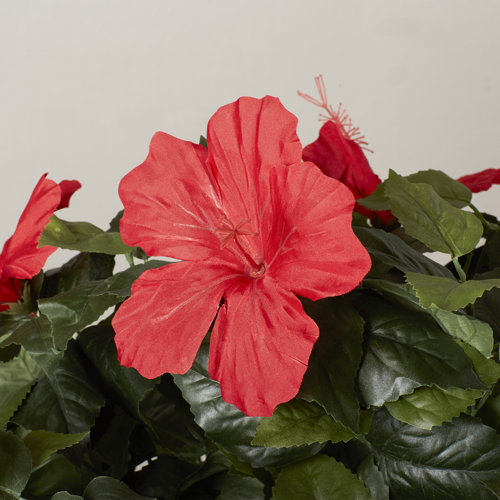 Artificial Hibiscus Tree in Pot Wayfair