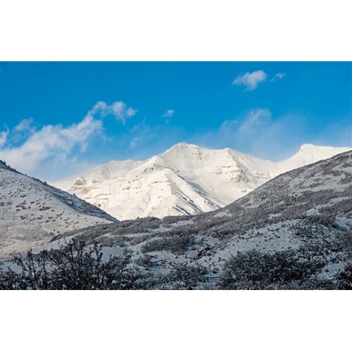 Hadley House Co Looking Out The Front Door Two Orem Ut by Sean McGrath