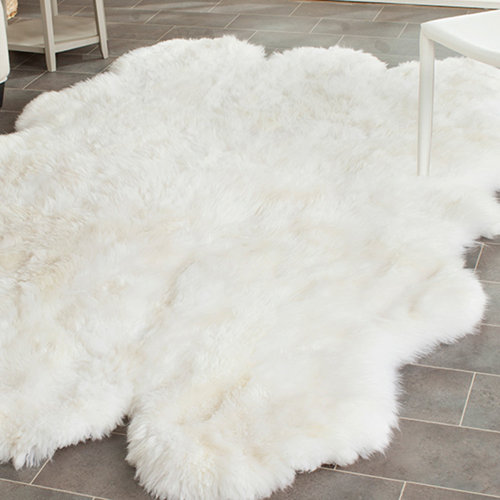 AshtonunderLyne White Novelty Rug Wayfair