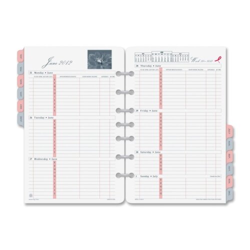 Weekly Refill Pages, 2PPW, Desk 5 1/2x8 1/2, 2015 by DAY TIMER