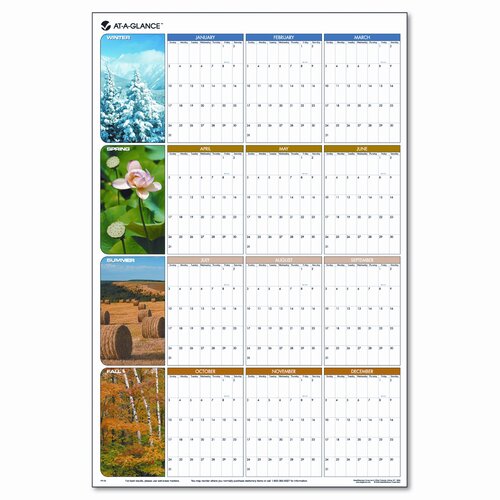 At A Glance Seasons in Bloom Erasable/Reversible Quarterly Yearly Wall