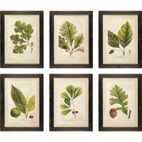 Napa Home & Garden Arborist Framed Painting Print Set & Reviews | Wayfair