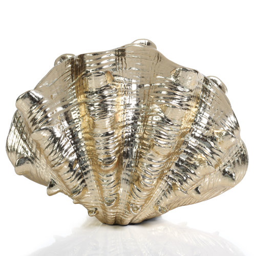 Zodax Resin Decorative Shell & Reviews Wayfair