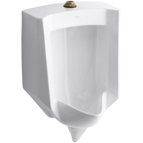 Stanwell BlowOut WallMount 1 GPF Urinal with Top Spud Wayfair