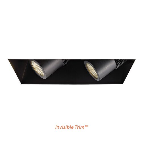 WAC 2 Light Precision Module Inviisible Recessed Trim