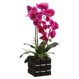 Artificial Phalaenopsis Orchid Plant in Ceramic Pot